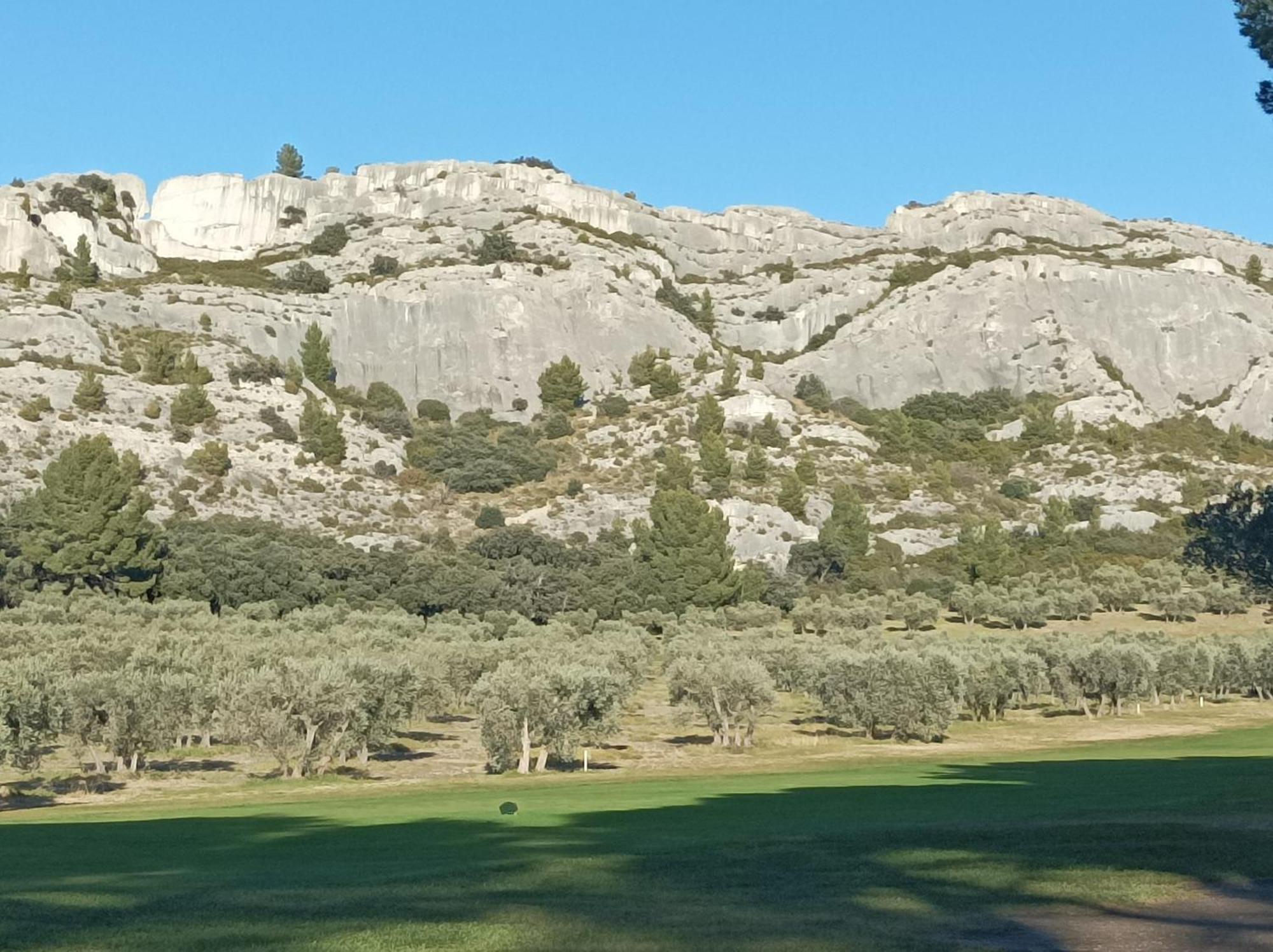 Chambre D'Hote Au Coeur Des Alpilles Mouries Exterior photo